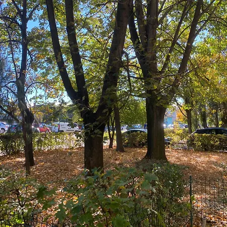 Ivory Glow - Location Temešvár