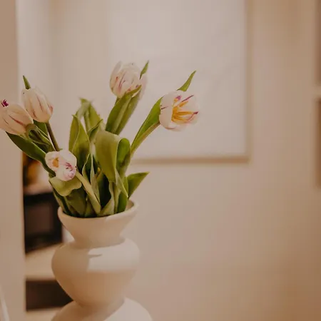 Ivory Glow - Location * تيميشورا
