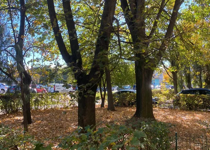 Ivory Glow - Location Temešvár